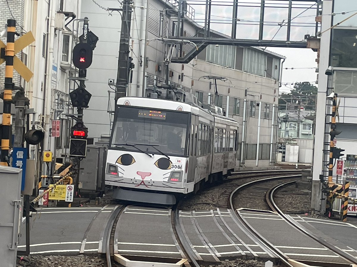Sakatancyu's tweet photo. お疲れ様でした。 https://t.co/ftbHQSM977