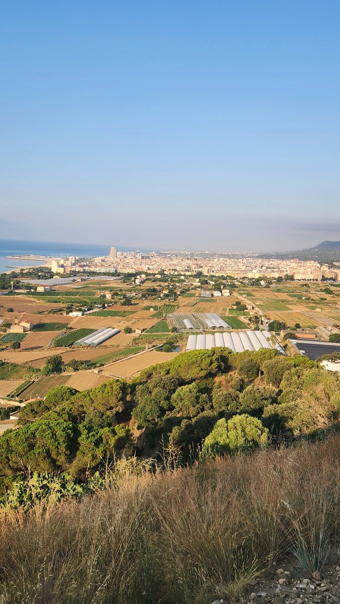 MiquelSolaSuris's tweet photo. Bon dia! ☀️ Coneixeu el Turó d'Onofre Arnau a #Mataró? A 131 m sobre el mar, a les Cinc Sènies, és un mirador estratègic des de l'època romana.
👉 ​Sabíeu que va tenir un castell destruït al s. XV i que, segons la llegenda, amaga el cau del @Dracdemataro i el Dragalió?  SOM-HI‼️ https://t.co/BzkZ9IoDjM