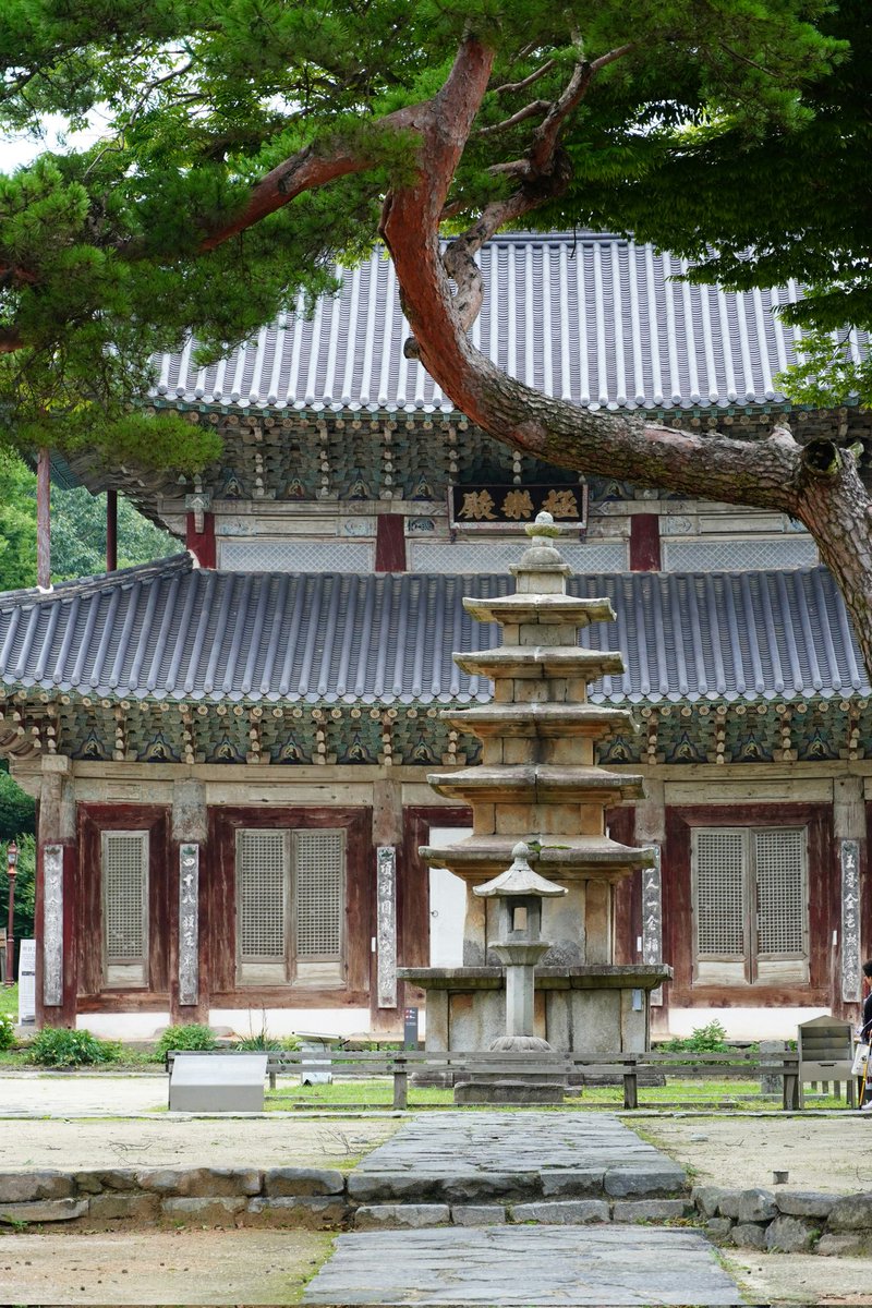nulpuleunsonamu's tweet photo. 부여 무량사 2024 https://t.co/ltbFDP9zWN