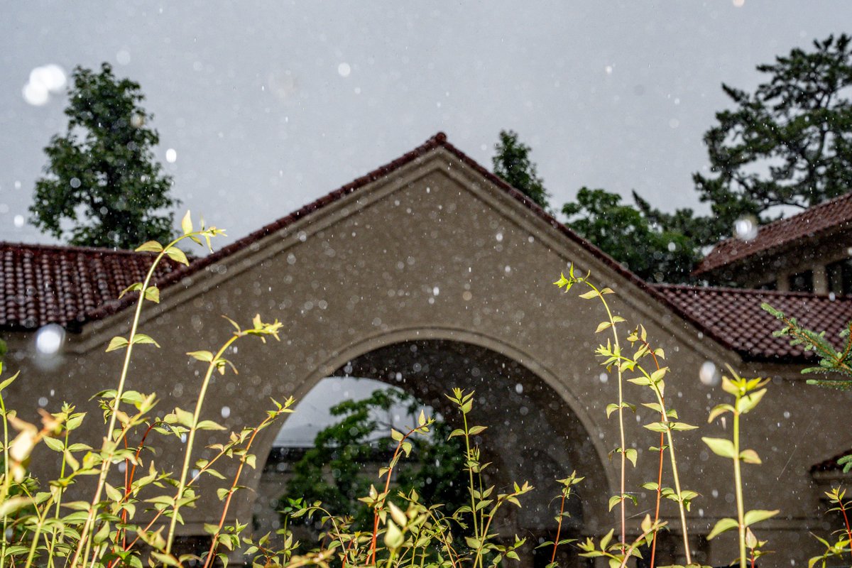 KwanseiGakuin's tweet photo. 雨の日のキャンパスも
幻想的で美しいです✨☔ https://t.co/KbzvFJNU9x