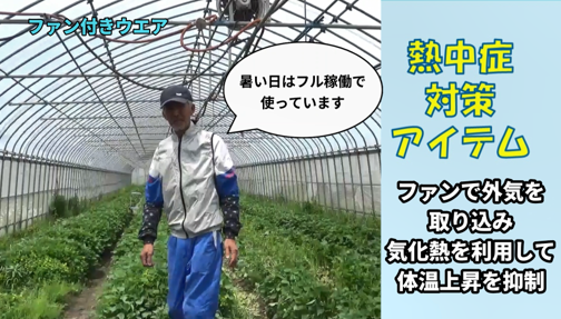 MAFF_TOHOKU's tweet photo. 夏の暑い時期の収穫や管理作業が重なり、農作業中の熱中症による死亡事故が増えています。
家族や地域での声掛けや、対策アイテムを上手に活用して熱中症に気を付けましょう。
岩手県拠点では啓発動画を制作しましたので、ぜひご覧ください！
 
 https://t.co/kUQGdGAZkY
 
 ＃熱中症 https://t.co/mwAQqpeQUF