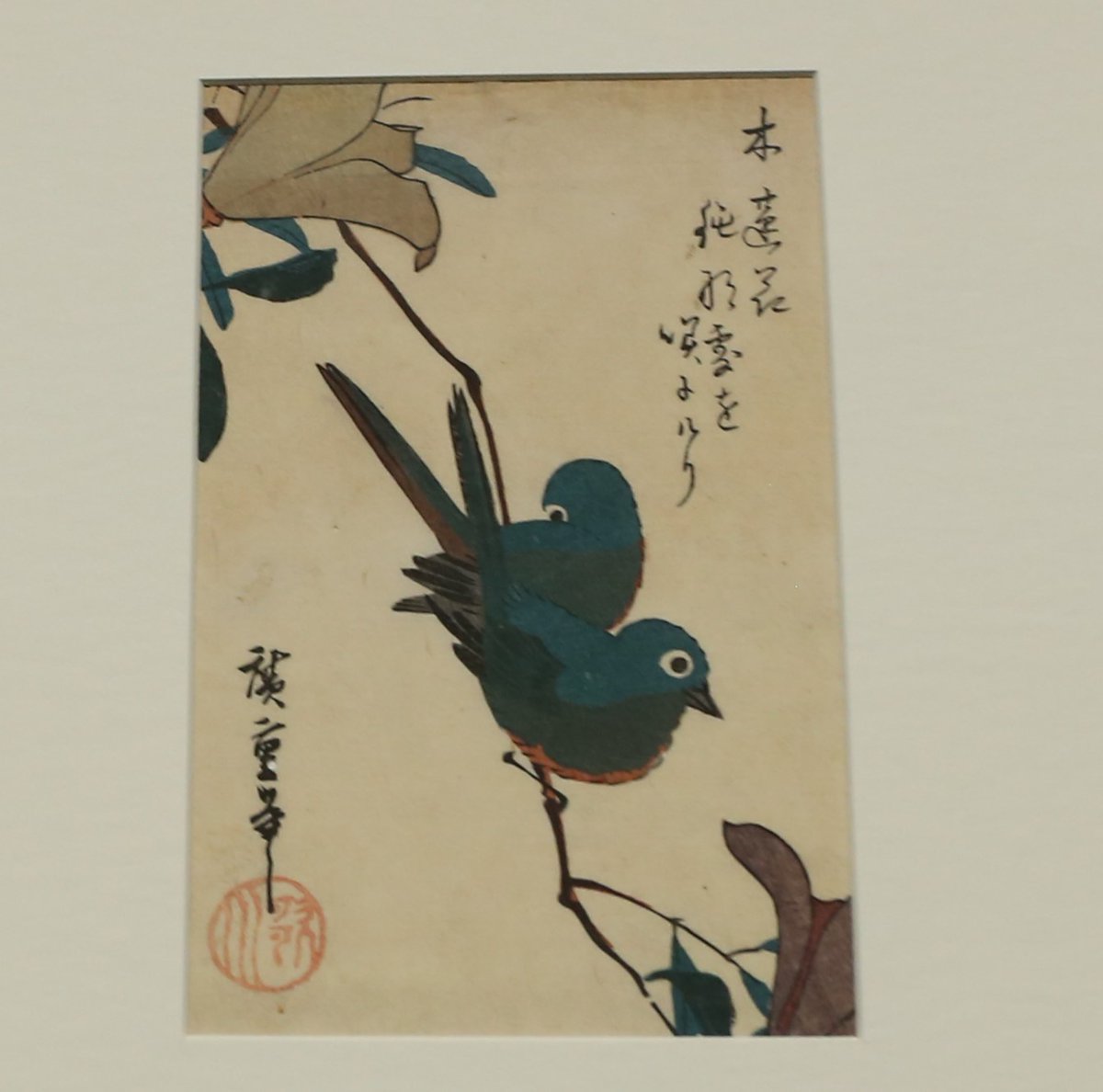 batohiroshige's tweet photo. 【展覧会情報】
現在、特別展「馬頭広重美術館への道 隈研吾建築展」が開催中です。
また、第１展示室（常設展示室）では当館所蔵の広重作品から花鳥画・風景画・美人画など幅広く展示中です。ここでしか見ることのできない肉筆画や、かわいらしい小鳥の浮世絵を、ぜひ特別展と共にお楽しみください。 https://t.co/X8lSkWQYPz