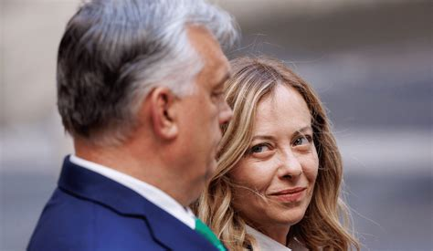 poperinotv's tweet photo. L'ultima uscita della #Meloni a proposito della storia dei Presidenti della Repubblica rivela esattamente il suo pensiero e il suo posizionamento ideologico.
Lei per "#PdR di destra" intende proprio fascisti. Perché di dx o cdx ce ne sono stati, ma sovranisti o fascisti mai. https://t.co/WzwcnQC6UN