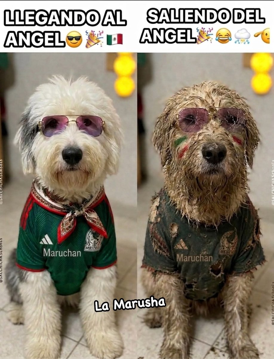 LucaVillarrea12's tweet photo. 🤣🤣😂🤣🤣🤣😂😂🤣 https://t.co/dEJyRlfwAt