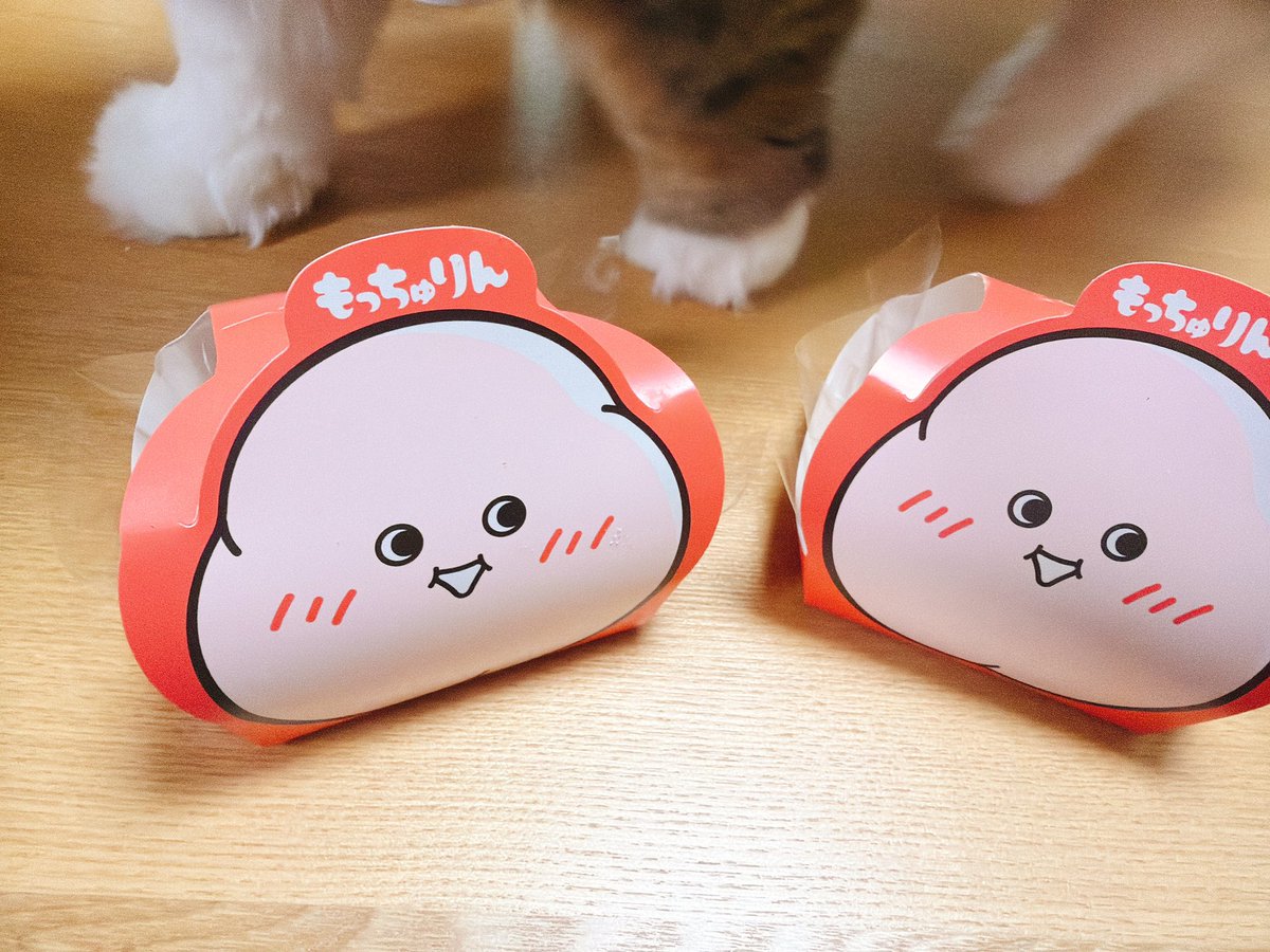 celery_doggy's tweet photo. 噂のもっちゅり🍩GET！
キナコとミタラシ♫

ほうほう！ドーナツというより、ほぼオモチ？
いや、でもポンデ感もなくもなく
美味しいね！

すごい人気らしく、私の2組後ろで売り切れてました😅 https://t.co/ICkkPlpDlx