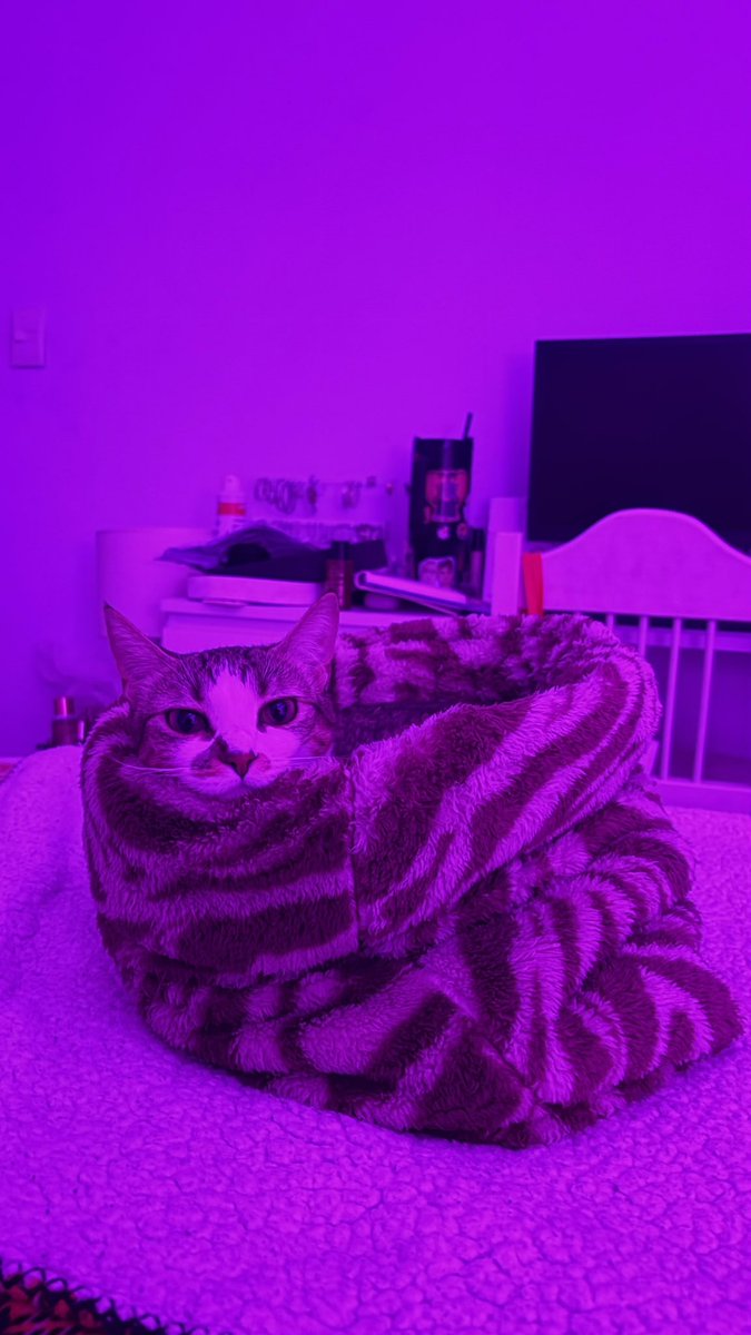 skvtchead's tweet photo. 😴😴😴😴 https://t.co/vv1TvVpN7B