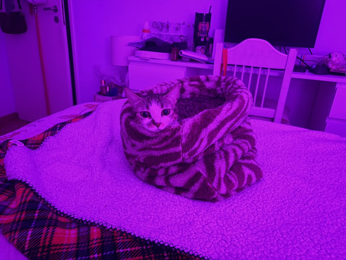 skvtchead's tweet photo. 😴😴😴😴 https://t.co/vv1TvVpN7B