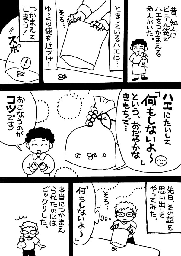 nosukuk2's tweet photo. 【エッセイ漫画】20260701 
ビニール袋でハエをつかまえる話。 https://t.co/jgsva9H0Cf