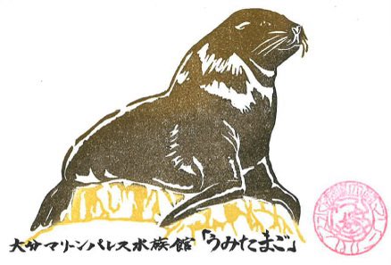umitamago_staff's tweet photo. 動画にて紹介した魚朱印
トドの玄太郎くん

本日より販売開始しました✨

他、新作の魚朱印です💁🏻

https://t.co/VNRQj3j3cJ https://t.co/iTsuRo0FyY