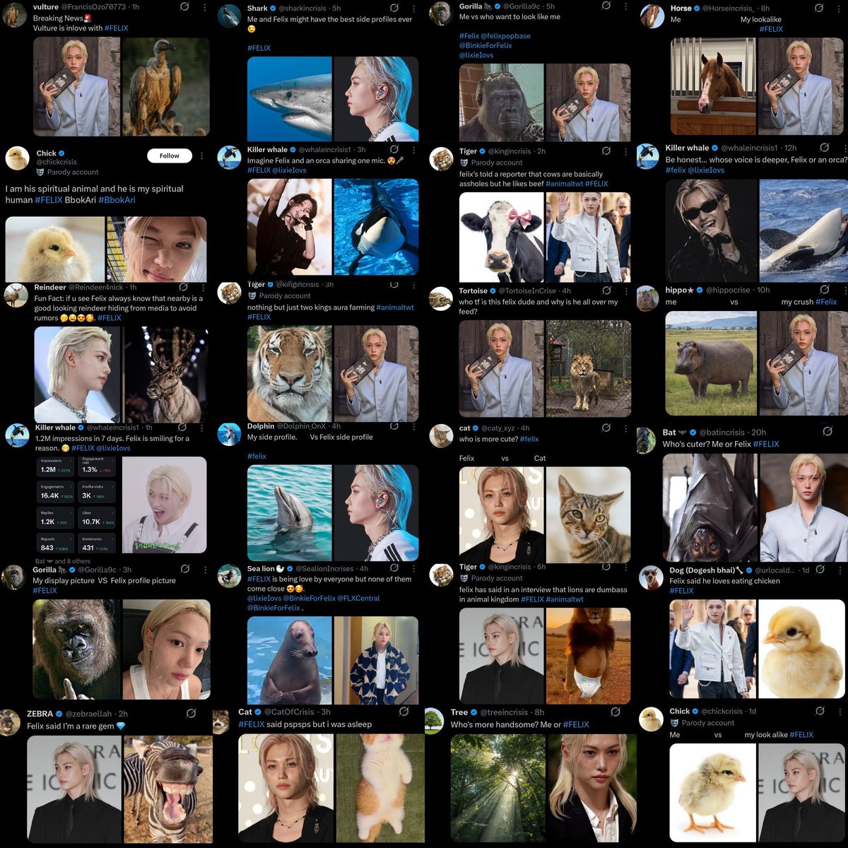 _NoNameBrand_'s tweet photo. The way felix Getty pics went super viral, creating a trend and then just when everyone thought it was over, a second wave of vitality hit through the animal posts that are currently all over the fyp. Lmao, is this not insane https://t.co/T8rjttHoLK