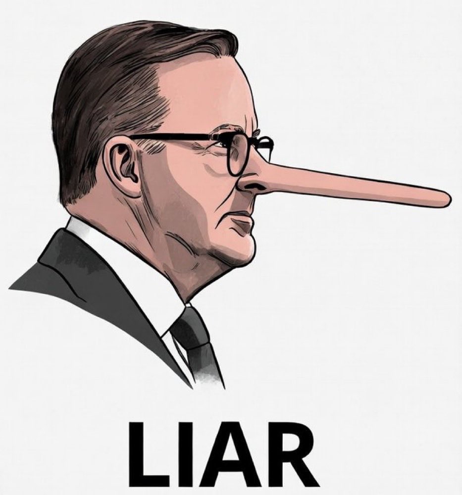 David22877957's tweet photo. @AlboMP https://t.co/1roEstDvoW