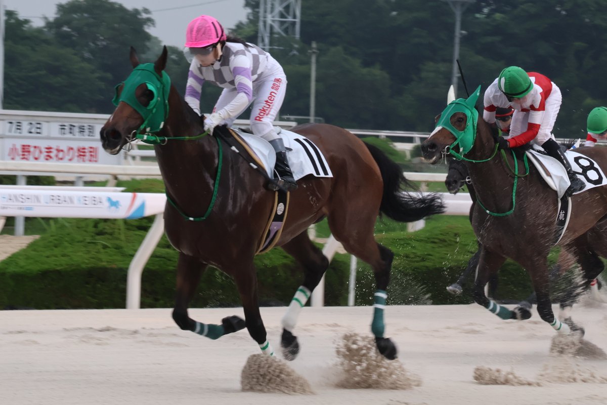 hochichihokeiba's tweet photo. 【阪神アーバン競馬】園田競馬

12Ｒはリコーシュペル（田中一巧厩舎）が１番人気に応え快勝。鞍上の佐々木世麗騎手は今年44勝目としました。

#佐々木世麗
#リコーシュペル
#田中一巧 https://t.co/LBqq4C0saF