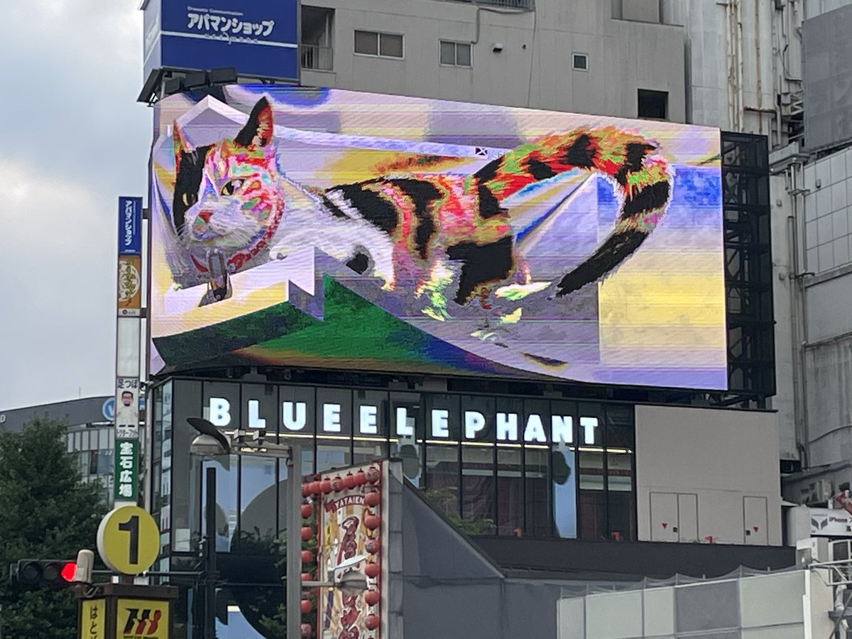 orimac's tweet photo. 新宿へ行ったので新宿東口の猫を見てきました♪

3Dで飛び出ました😂😂😂

都庁のプロジェクションマッピングも予定していたのですが…時間が合わなかったのであきらめて…
 
写真で撮るとダメですね〜😅

#新宿東口の猫 https://t.co/eei1JKOzZ9