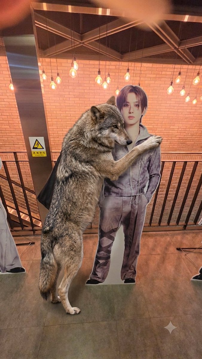 space_8282's tweet photo. 아 너무 웃곀ㅋㅋ https://t.co/5mWxgYrSl2