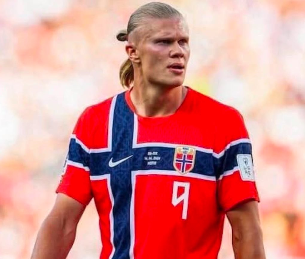 petinfome's tweet photo. ノルウェー🇳🇴は人口が500万人くらい！？

じゃあ日本にハーランドが20人いても、
おかしくないな。何県に多いですか。 https://t.co/YUCAZSX0SX