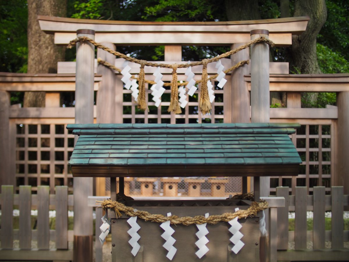 夏詣＠伊勢山皇大神宮⛩️ 📷 PEN-F w/ SPEEDMASTER 25mm F0.95 #夏詣
