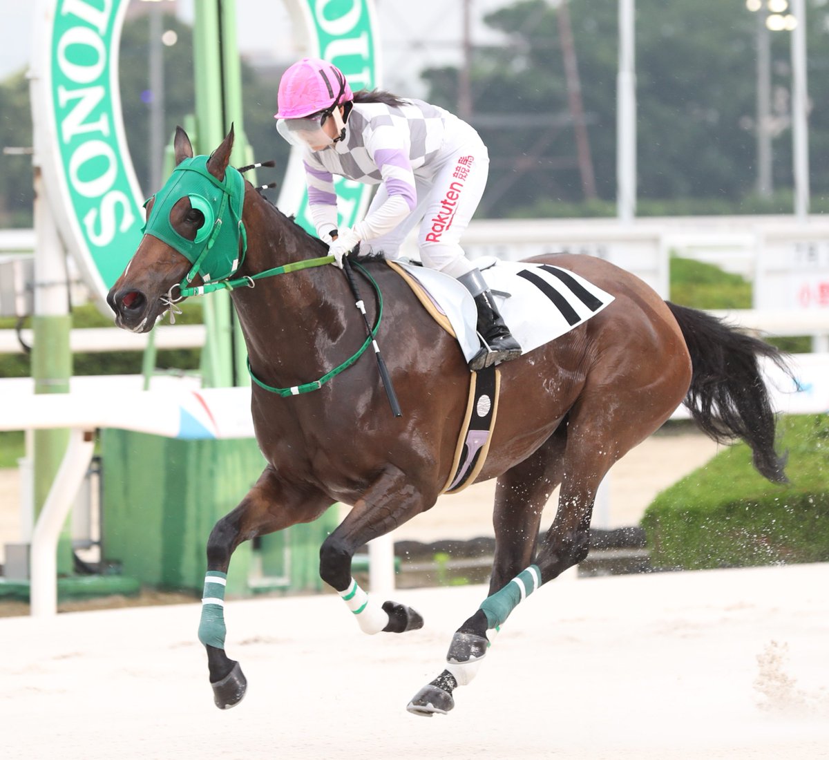 sponichikeiba's tweet photo. 【#阪神アーバン競馬】
最終12Rで #リコーシュペル 騎乗した #佐々木世麗 騎手が下半期最初の1日に幸先良く1勝をゲット🥇
今年「44」勝目を挙げ「馬が強かった」と笑みを浮かべていました😆 https://t.co/ozihlN4ggX