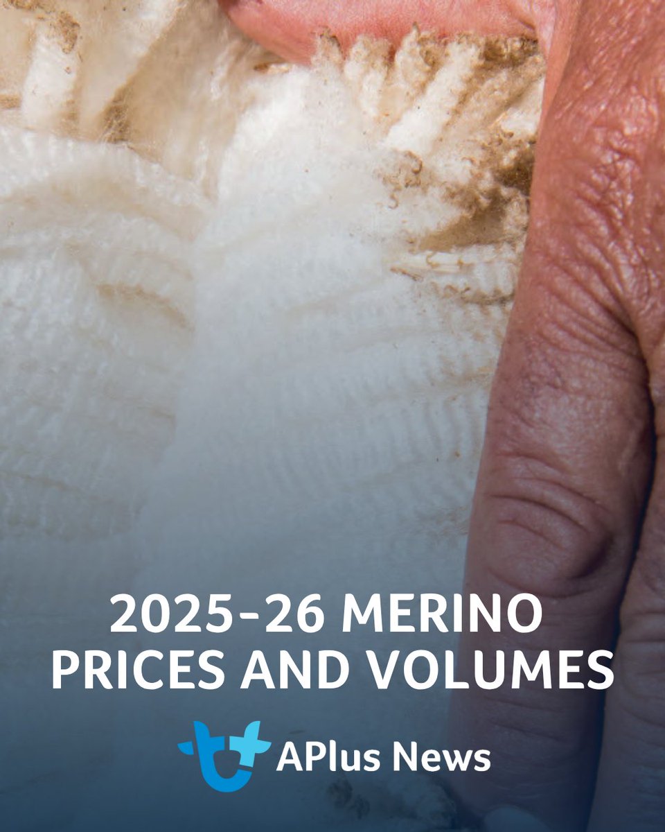AuctionsPlus tweet picture