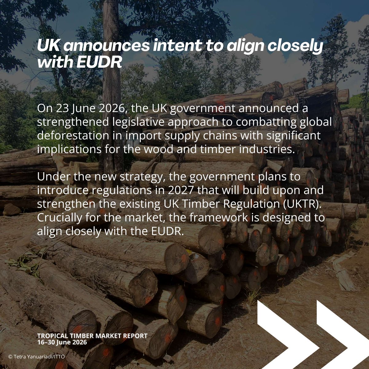 itto_sfm's tweet photo. 🗞️New Issue: 16–30 June 2026

🇬🇧🇪🇺Top Story - UK has announced stronger measures to tackle deforestation in import supply chains. New regulations planned for 2027 to strengthen the UK Timber Regulation, closely aligning it with #EUDR
🔗 https://t.co/aXjD6qAtVk https://t.co/Q71lQV5ThF