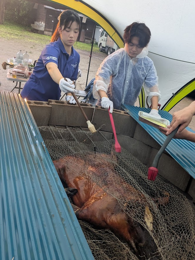TFU_AO's tweet photo. ＼全国ご当地BBQフェスタに参加しました！🍖🔥／

6月28日（日）、川崎市黒川青少年野外活動センターで開催された、日本BBQ協会設立20周年イベント「全国ご当地BBQフェスタ」に、大学として日本唯一の日本BBQ協会公認「東京富士大学BBQコミュニケーションサークル」の有志が参加しました✨

全国のBBQ協会が集まるこのイベントで、学生たちが担当したのは**「イノシシのPIT BBQ」**！

千葉県館山市で捕れたイノシシを、ノースキャロライナ式のBBQ PIT（焼き場）で約15時間かけて一頭丸ごと焼き上げるという、迫力満点のBBQに挑戦しました🔥

一番大変だったのは、焼き上げる間の温度管理。🌡️
一晩中200～230℉を保つため、温度を確認しながら薪や炭を補充し続けるなど、学生たちが力を合わせて取り組みました💪
その努力が実を結び、多くの来場者の皆様や全国のBBQインストラクターの方々から、温かいお言葉をいただくことができました😊

貴重な経験となった今回のイベント。これからも東京富士大学BBQコミュニケーションサークルの活動にぜひご注目ください！🍖✨

#東京富士大学
#日本BBQ協会
#全国ご当地BBQフェスタ
#BBQ
#イベント
#学生生活
#課外活動