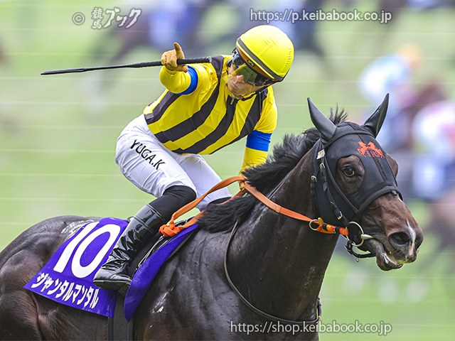 keiba_book's tweet photo. ￣￣￣￣￣￣￣￣￣￣
 おつかれさまでした
＿＿＿＿＿＿＿＿＿＿

２歳時には無敗で朝日杯ＦＳを制し、その年のJRA賞最優秀２歳牡馬に選出。
３歳春はクラシック王道路線にも挑戦し、以降は国内マイル路線の絶対王者として君臨したジャンタルマンタル号。
国内では無類の強さを誇り、ＪＲＡの芝マイルＧ１完全制覇(※)という全馬未踏の快挙も成し遂げました。

記録にも記憶にも残るその走りは、きっと彼の産駒にも受け継がれる事でしょう。

改めて、ジャンタルマンタル号、おつかれさまでした。

#ジャンタルマンタル
※牝馬限定戦を除く