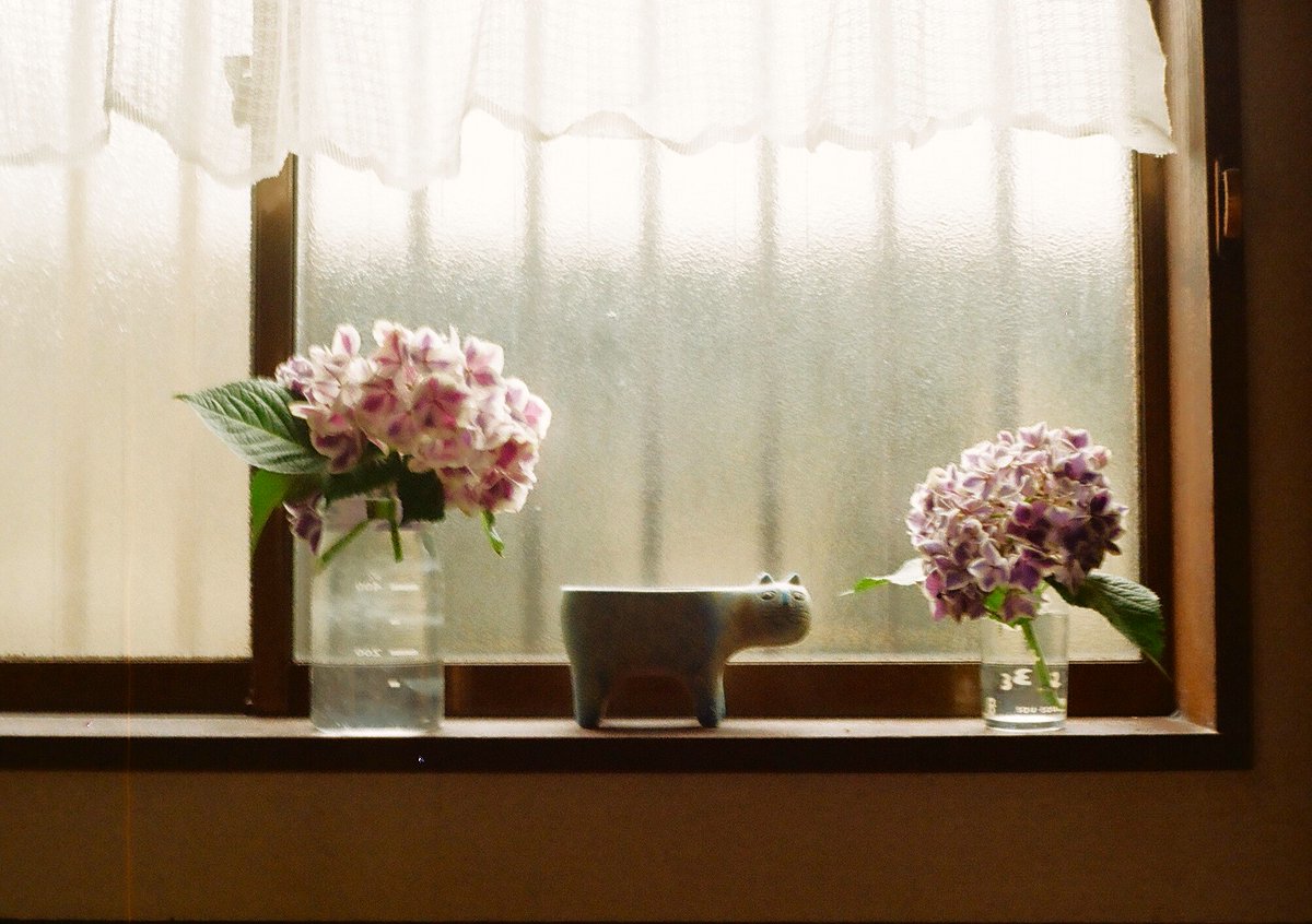 ミーナ (@storemina) / Posts / X