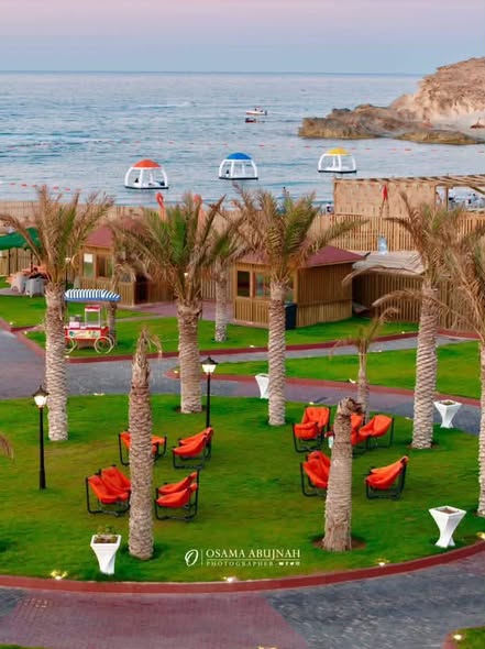 dxgq6h's tweet photo. Ghneima Gardens Village 🇱🇾🌿 One of the most beautiful tourist destinations in Al Khums, offering a perfect escape surrounded by nature and relaxation.
#Libya #AlKhums #VisitLibya #TravelTips https://t.co/rSn2NaQvxm