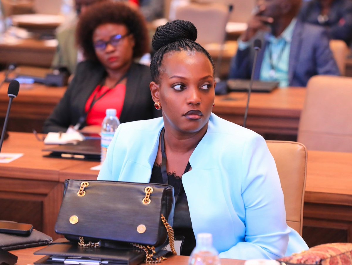 HonMutasingwa's tweet photo. Yesterday, at the Parliamentary Induction Seminar, I joined fellow legislators in discussions aimed at strengthening our legislative mandate, enhancing parliamentary oversight, and advancing effective service delivery for our people. https://t.co/yFQdoJveG7