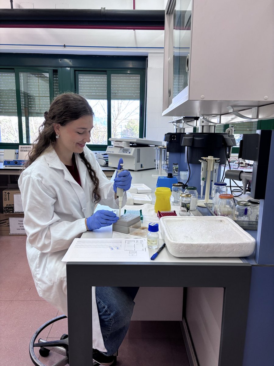 WheatUCO's tweet photo. 🧬 Evelyn is now returning to her home region to continue her academic training, where she will pursue the Master’s Degree in Plant Breeding at the Polytechnic University of Valencia. https://t.co/kf1kQskB1x