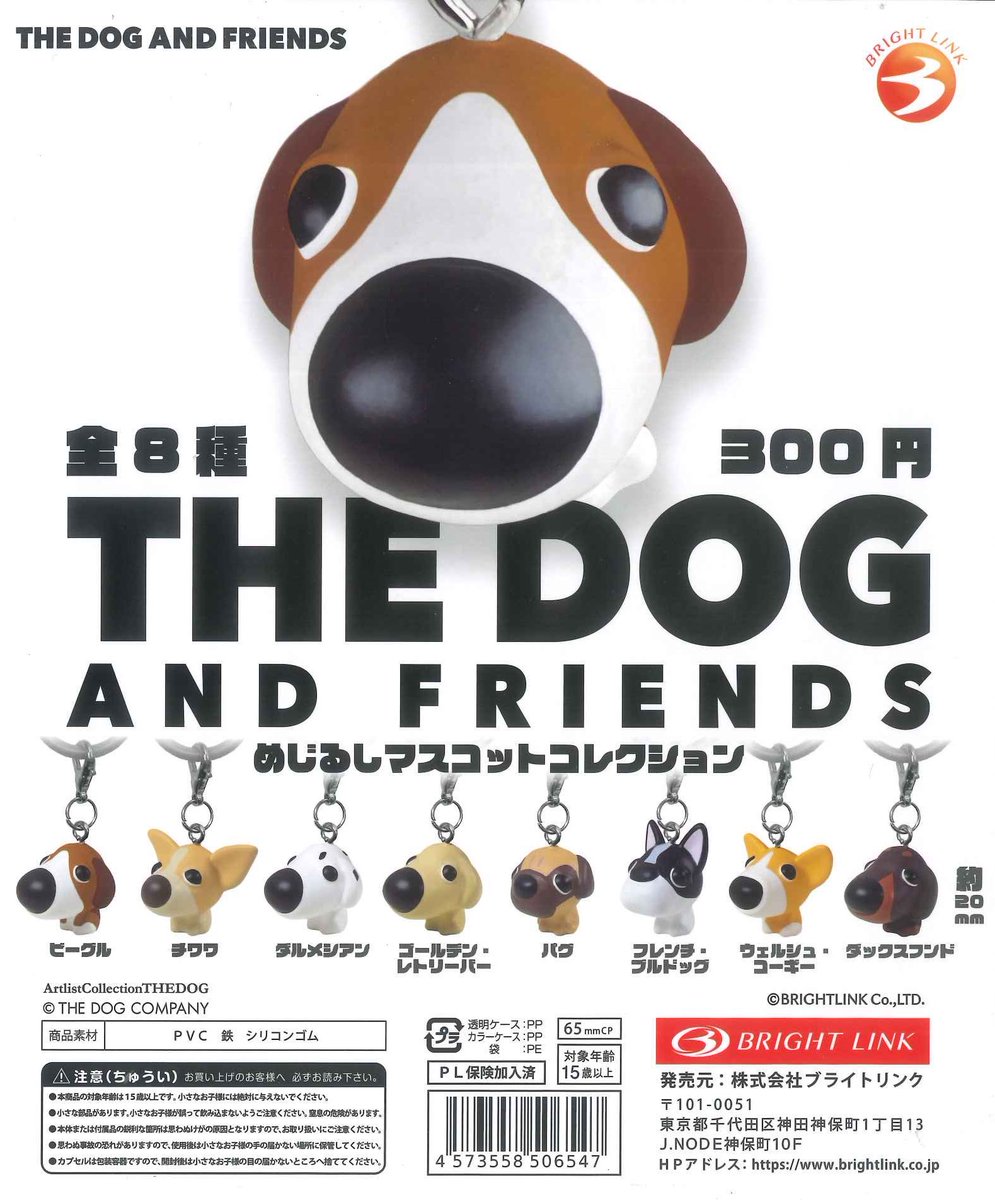 📢入荷情報🐶🩷 🎀 キーウィなアイス ちょこんとめじるしマスコット