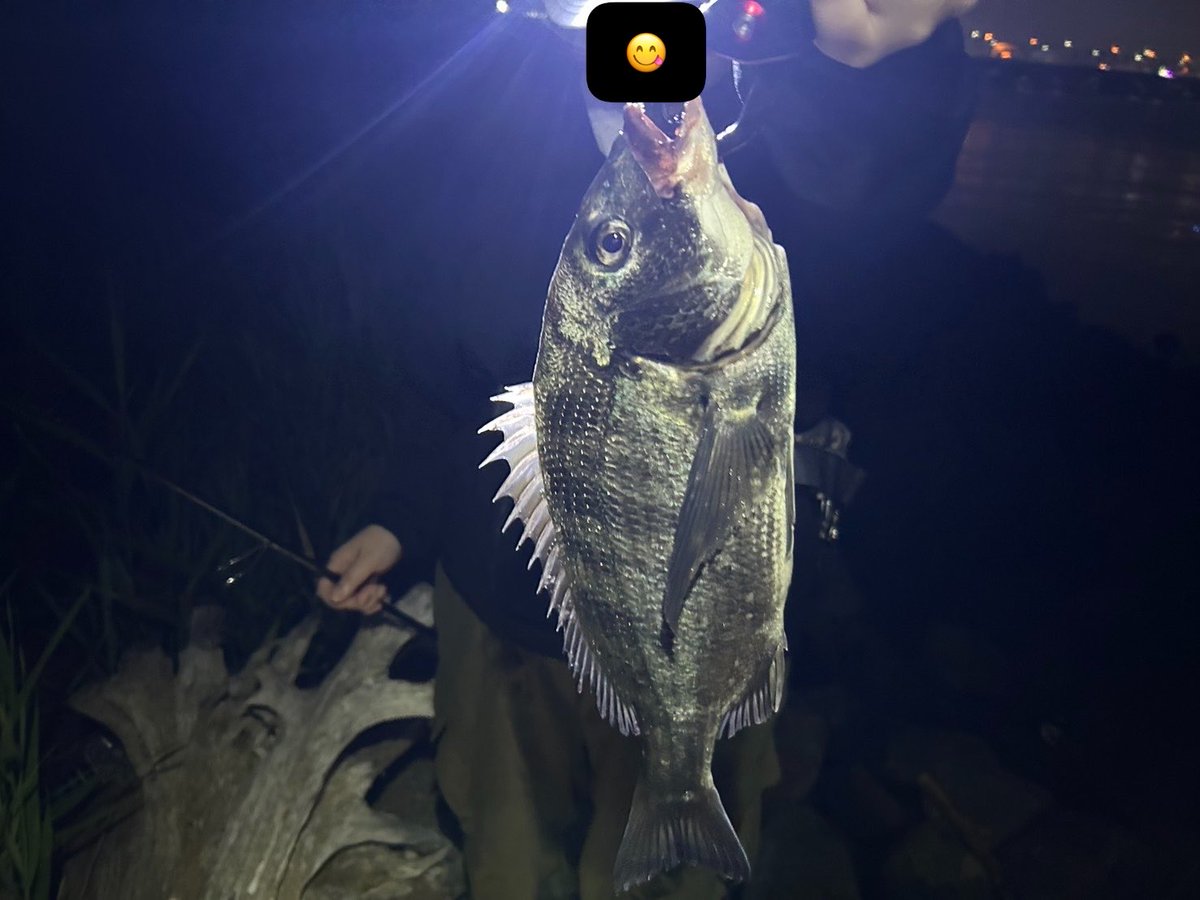 AsamiKranKran's tweet photo. 昨日ちょうど1ヶ月ぶりの釣り行ってきた！
今回はシーバスじゃなくてチニング🎣
2バラシしたけど2匹釣れた❤️ https://t.co/QTkonCKzPD