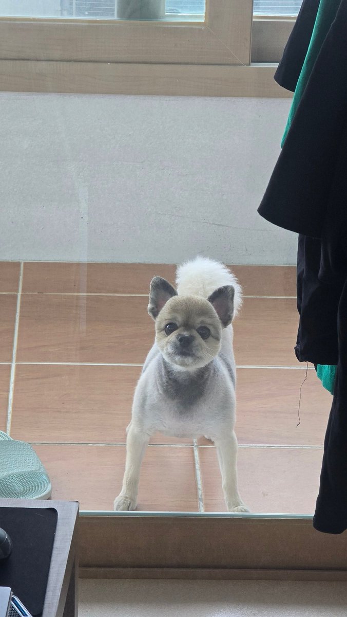 MIU_Nithm's tweet photo. 에휴기여운녀석 https://t.co/kODUEVryE4