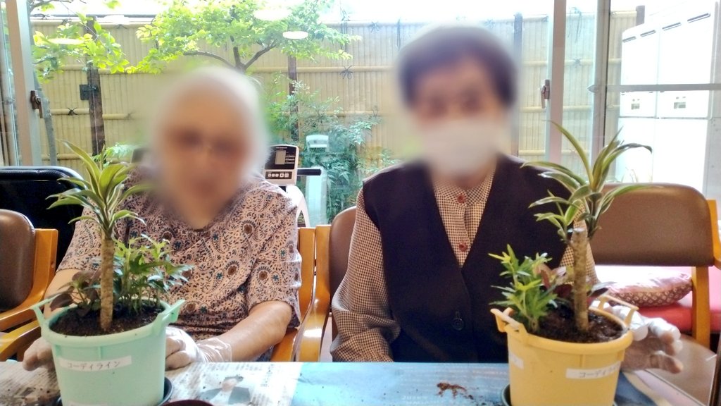 Central_Bios's tweet photo. 小さなサイズの観葉植物を3つ寄せ植えしました♪
可愛らしく出来上がり皆様とても喜ばれていました✨🤗

#デイサービス
#松本市 https://t.co/3xYg2oXmkm