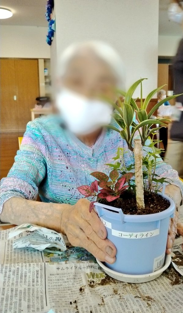 Central_Bios's tweet photo. 小さなサイズの観葉植物を3つ寄せ植えしました♪
可愛らしく出来上がり皆様とても喜ばれていました✨🤗

#デイサービス
#松本市 https://t.co/3xYg2oXmkm