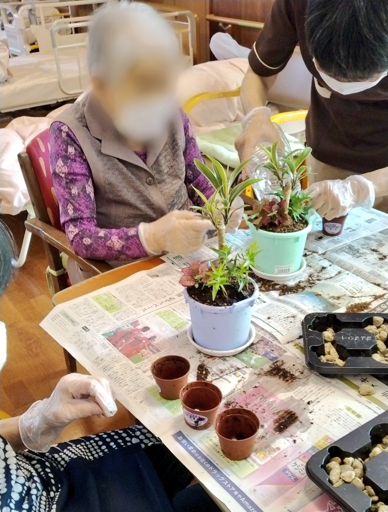 Central_Bios's tweet photo. 小さなサイズの観葉植物を3つ寄せ植えしました♪
可愛らしく出来上がり皆様とても喜ばれていました✨🤗

#デイサービス
#松本市 https://t.co/3xYg2oXmkm