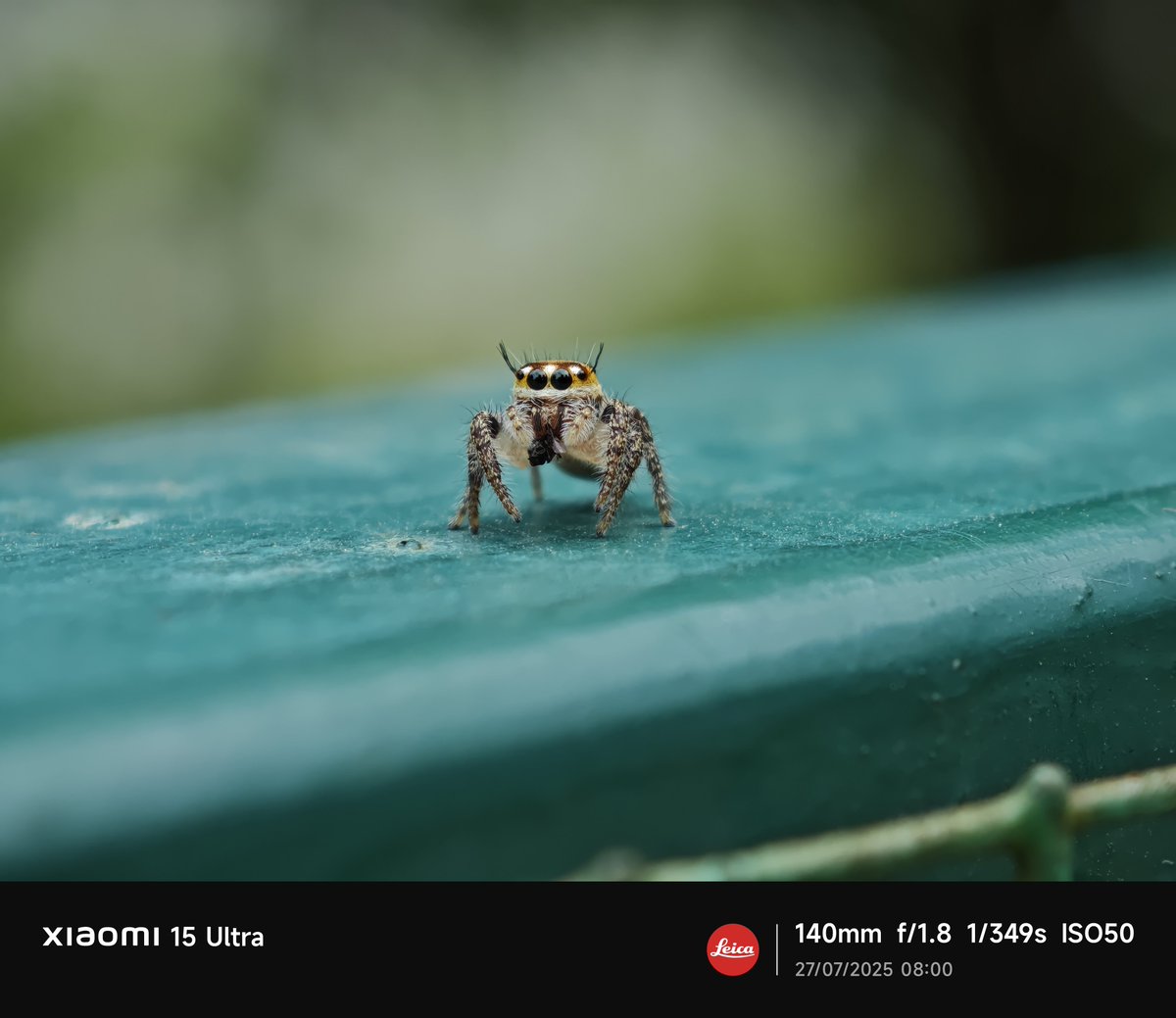Siva_Bharani's tweet photo. Shot on #Xiaomi17 #Xiaomi15Ultra
#NoEdit
486mm is crazy la 🔥 https://t.co/65Bgvojqaz