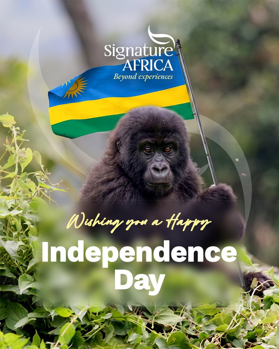 AfricaSafariss's tweet photo. Rwanda turns 64 today β a nation that has chosen its future with the same quiet determination that defines everything it touches. Happy Independence Day, Rwanda.
#Kwibohora64 #RwandaIndependenceDay #RwandaAt64 #VisitRwanda #SignatureAfrica #BeyondExperiences https://t.co/Sg8eHERiZp