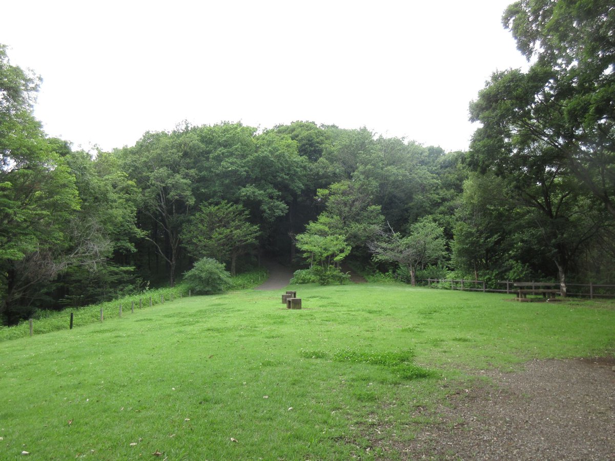 mitsuru3776's tweet photo. 都筑中央公園（横浜市都筑区荏田東4-11）

最寄り駅：横浜市営地下鉄  セン��ー南駅
ホームページ：https://t.co/whfktSjlhl

#都筑中央公園 #横浜市営地下鉄 #Yokohama https://t.co/Q1ryvppLqB