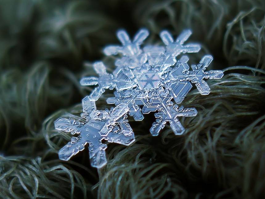 BigBangSciCom's tweet photo. ❄️ Des flocons de neige pour vous rafraîchir !

Aucun n'est parfaitement identique à un autre : leur forme dépend des conditions de température et d'humidité qu'ils rencontrent au cours de leur formation.

📷 Crédits : Alexey  Kljatov, le champion des flocons de neige !

#glace https://t.co/Vt4flTm8OG