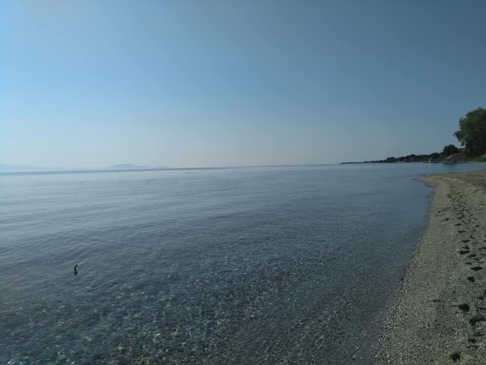 pappalingmailco's tweet photo. Καλό μήνα https://t.co/Kj0U1sPgGr