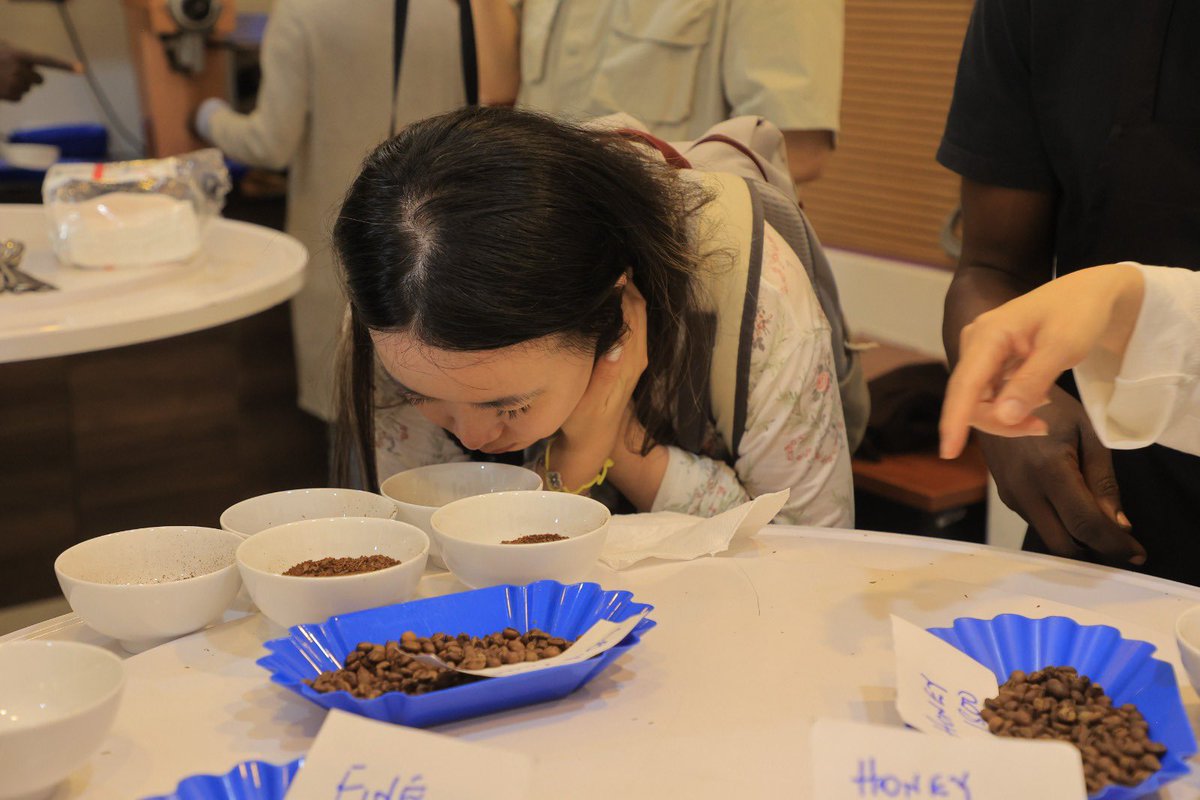 acpcu_ltd's tweet photo. Quality begins in the cup. ☕ Cupping is the core of coffee quality analysis, ensuring every bean delivers excellence from farm to cup.
#CoffeeCupping #CoffeeQuality #UgandaCoffee #SpecialtyCoffee #FromFarmToCup #ItsInOurNature https://t.co/CZR2eAAJCs
