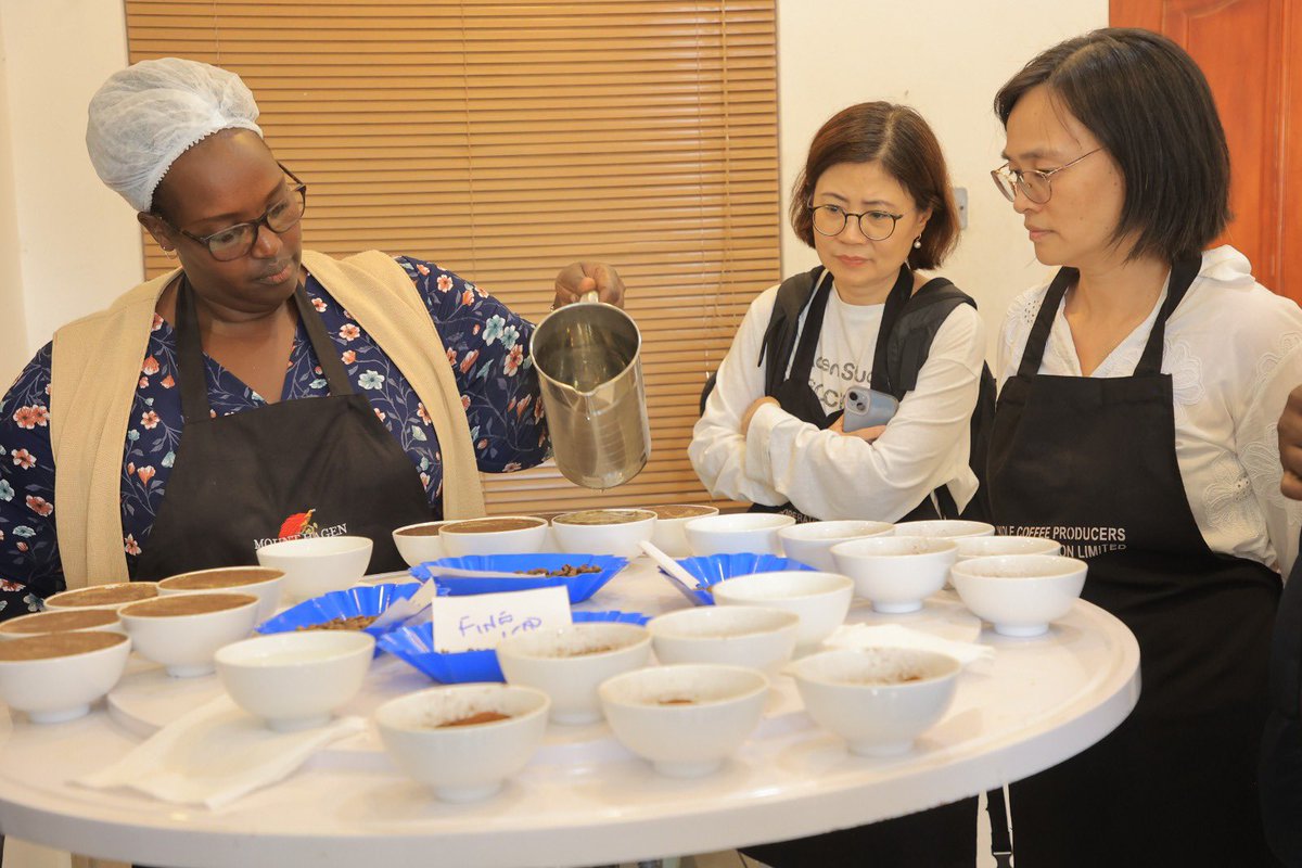 acpcu_ltd's tweet photo. Quality begins in the cup. ☕ Cupping is the core of coffee quality analysis, ensuring every bean delivers excellence from farm to cup.
#CoffeeCupping #CoffeeQuality #UgandaCoffee #SpecialtyCoffee #FromFarmToCup #ItsInOurNature https://t.co/CZR2eAAJCs
