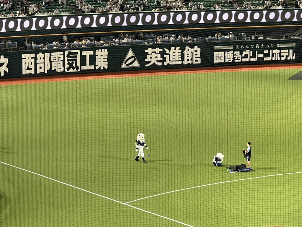nikkan_kanekosl's tweet photo. 台湾土産をくれなかったライオンの姿があります。#seibulions https://t.co/I1vKiHspnU