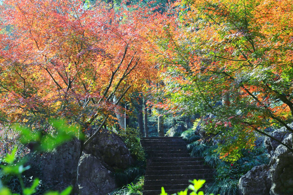 GPhetrada's tweet photo. The first autumn breeze carries crisp vibes and falling leaves , perfect for a warm coffee break! https://t.co/hU1sRQKAbD