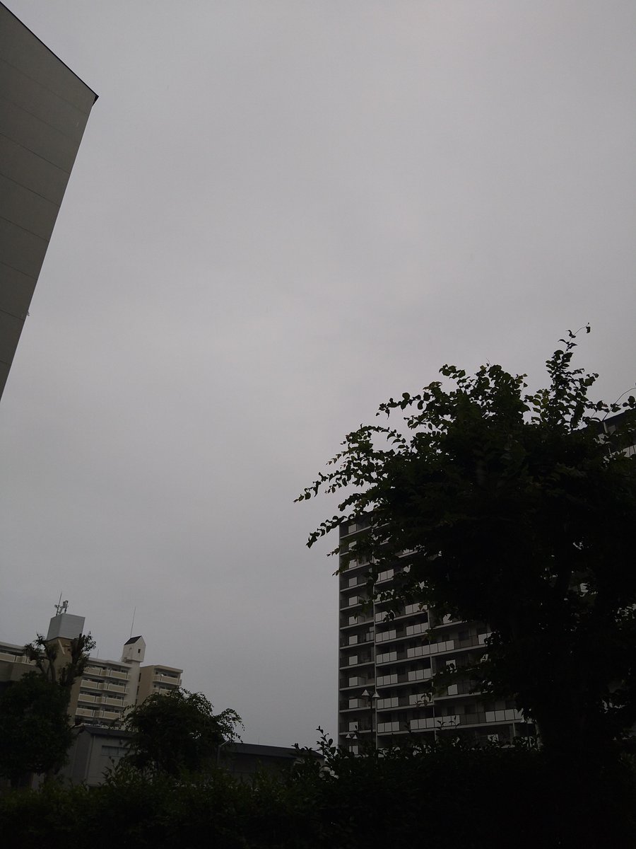 mori_basex1215's tweet photo. 皆様こんにちは☔
何時も有り難うございます！

夕方からの雨…☔がパラつく
守山です！

守山ベース！只今オープンしております😁

本日は色々と仕込みをしながら
皆様のご来店お待ちしております🙇

今日も１日宜しくお願い致します🙇 https://t.co/zPbaK5JMVY