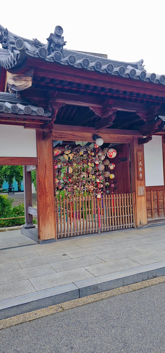 evipoppo3's tweet photo. 大阪ツアー完了。
新大阪、天王寺、江坂、日本橋、谷町九丁目。
よく移動し、よく話し、よく感じた。
大阪、やっぱり濃い。
そして、まだカールには出会えていない。 https://t.co/4jhYV6kkJr