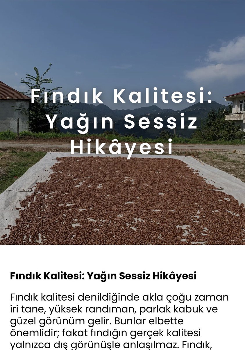 enisekcm's tweet photo. Fındığı kaliteli yapan parametreleri  değerli gıda mühendisimiz Ufuk bey anlattı. Yazının devamınını blokta bulabilirsiniz.okumak için ➡️https://t.co/h6CyCoqn79 🌰 https://t.co/js0Hfw0ZjR