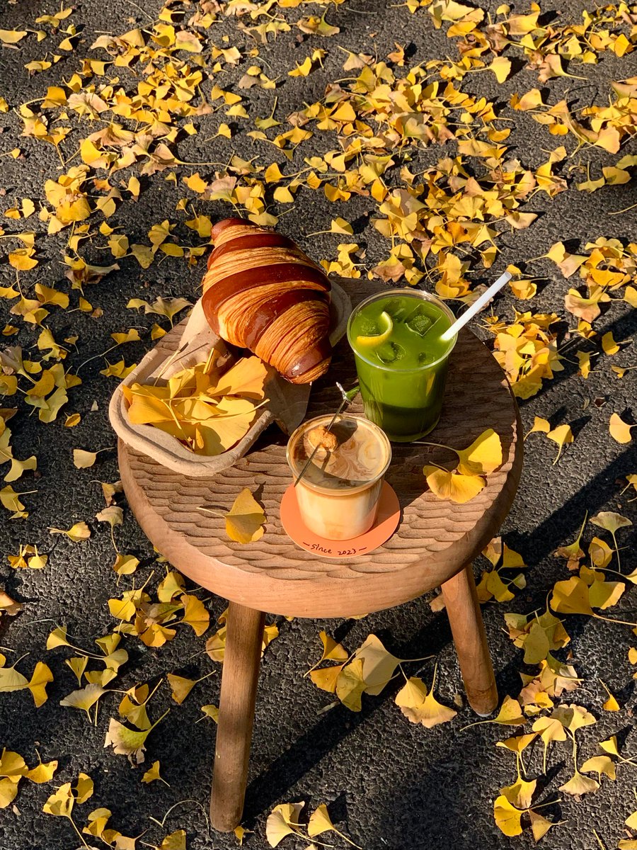 6IY5kVu7FZ8BNDO's tweet photo. Chilly autumn breeze, warm coffee in hand  Perfect cozy afternoon vibes!， https://t.co/I4xtoS3Ab5