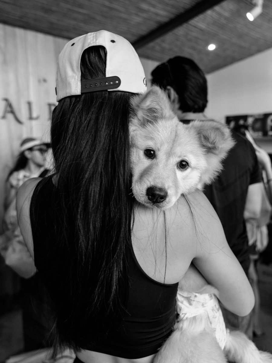 BiniAiahOFC's tweet photo. [07012026] bini_aiah Instagram Update 🐶

“My soul dog, my spirit animal, my forever baby, my honey boo 🤍

@.honeythechowspitz' 2nd birthday today woop woop! 🥰”

🔗 https://t.co/8c9tFr244r

#BINI @BINI_ph https://t.co/dTMzai1XEb