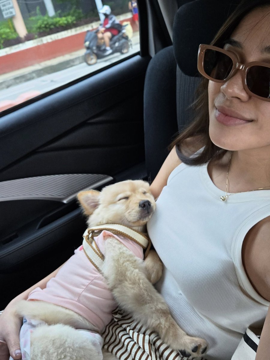 BiniAiahOFC's tweet photo. [07012026] bini_aiah Instagram Update 🐶

“My soul dog, my spirit animal, my forever baby, my honey boo 🤍

@.honeythechowspitz' 2nd birthday today woop woop! 🥰”

🔗 https://t.co/8c9tFr244r

#BINI @BINI_ph https://t.co/dTMzai1XEb